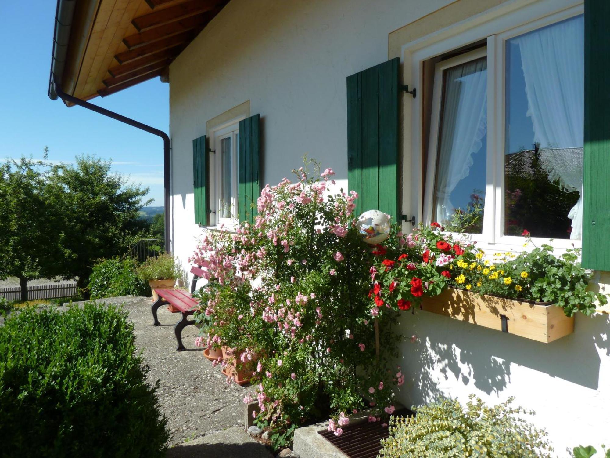 Ferienwohnung Panorama Bad Kohlgrub Exterior photo